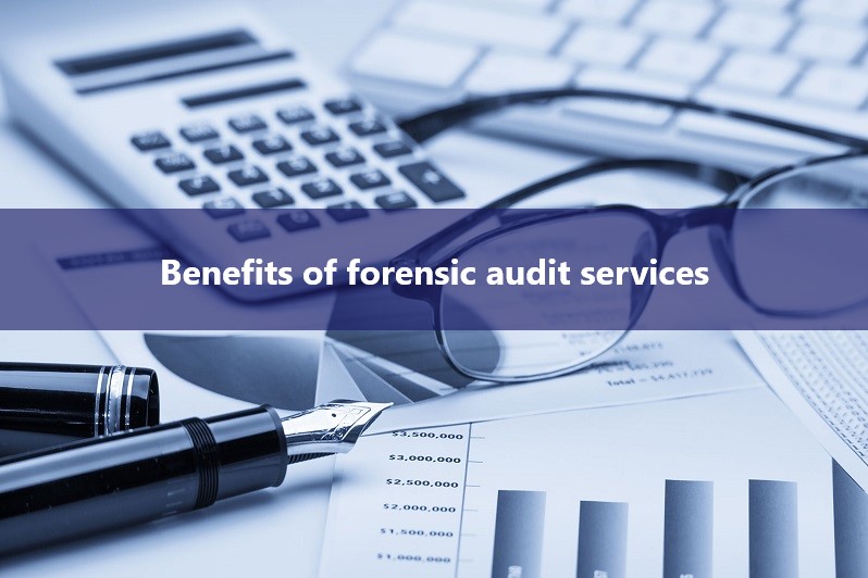 Forensic Audit Services