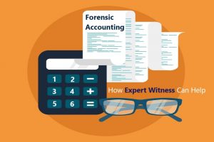 Forensic Accounting Expert