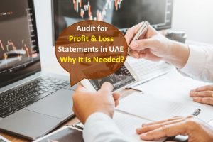 Audit for Profit and Loss Statements in UAE