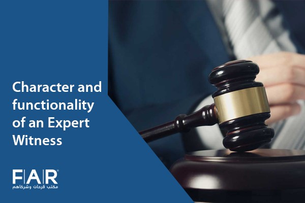 expert witness definition law
