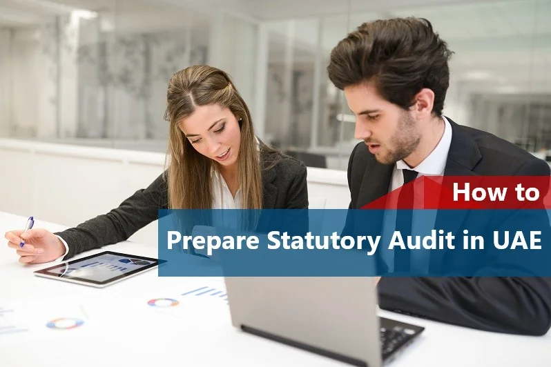 Prepare for a Statutory Audit in UAE