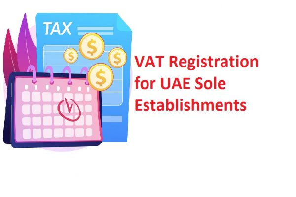 Process of VAT registration for UAE sole establishments