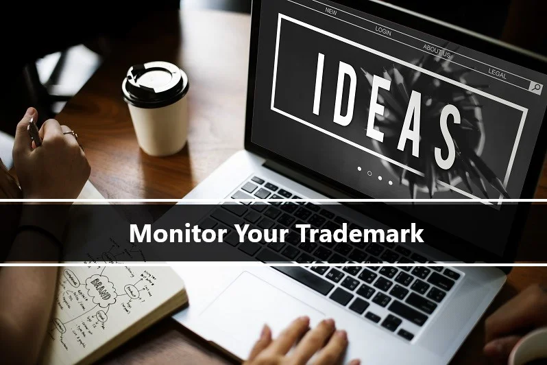 Trademark Monitoring watch services