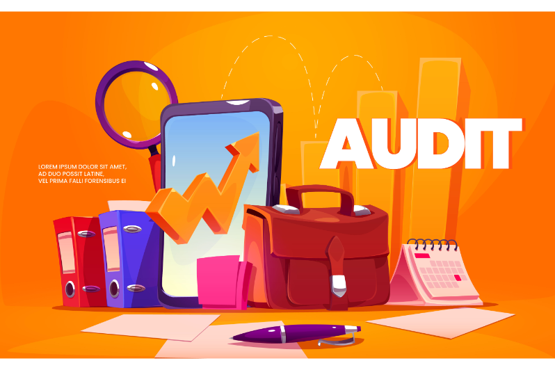 audit services dubai account government