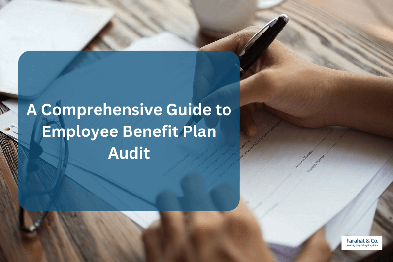 Employee Benefit Plan Audit
