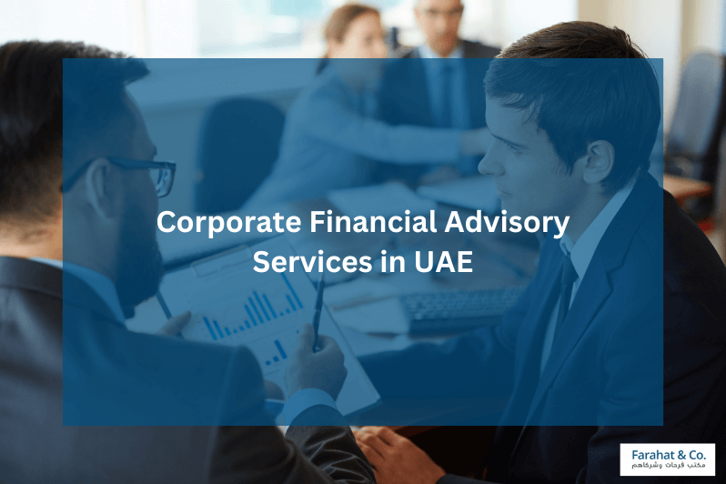 Corporate Financial Advisory Services in UAE