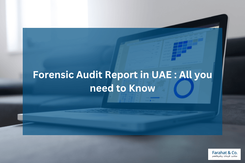 Forensic Audit Report in UAE