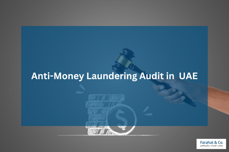 anti money laundering audit