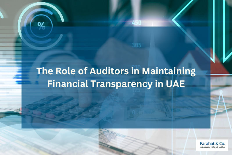 Auditors in Maintaining Financial Transparency in UAE
