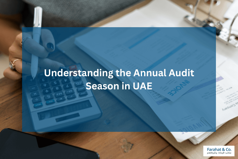 Annual Audit Season in UAE