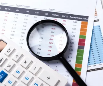 Financial and Audit Considerations
