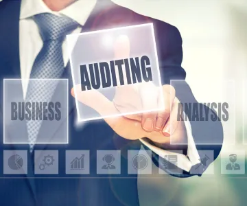 What Are the ICV Audit Requirements for Small Businesses