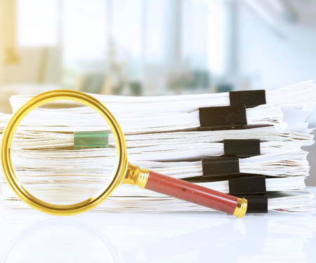  Court Expert or an Expert Witness