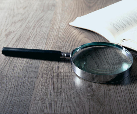 importance of Fraud Expert Report